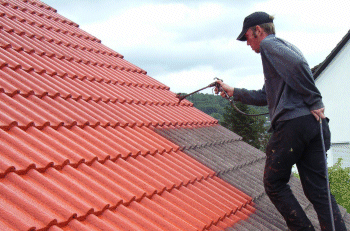 roof painting Australia